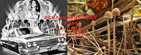 прущие грибы Алексеевка
